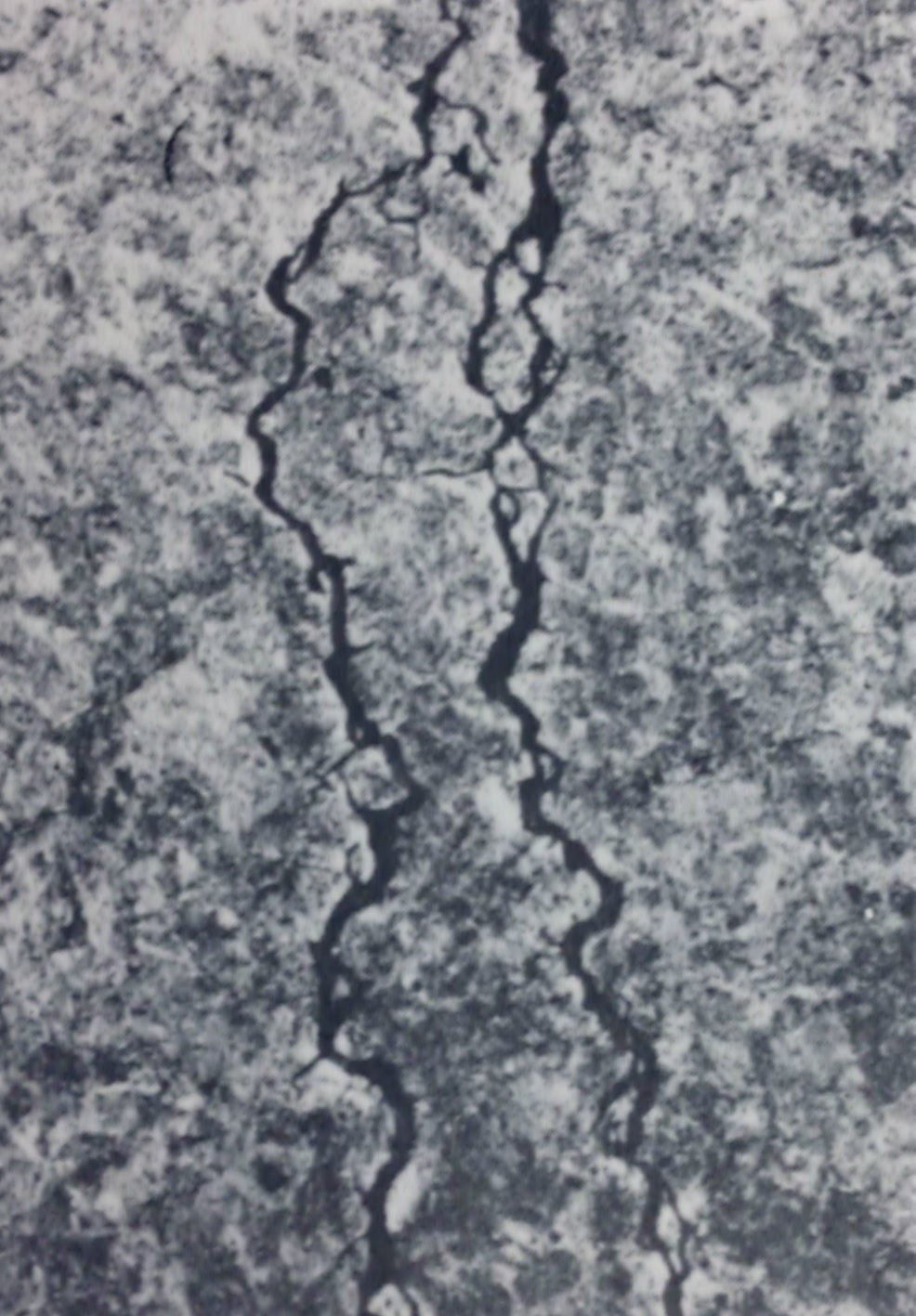 Encoded image