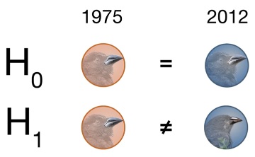 проверка гипотез.jpg