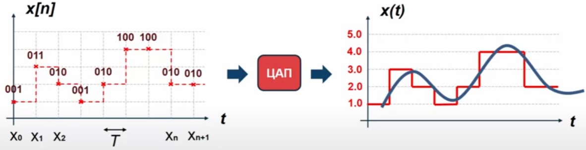 цап.jpg