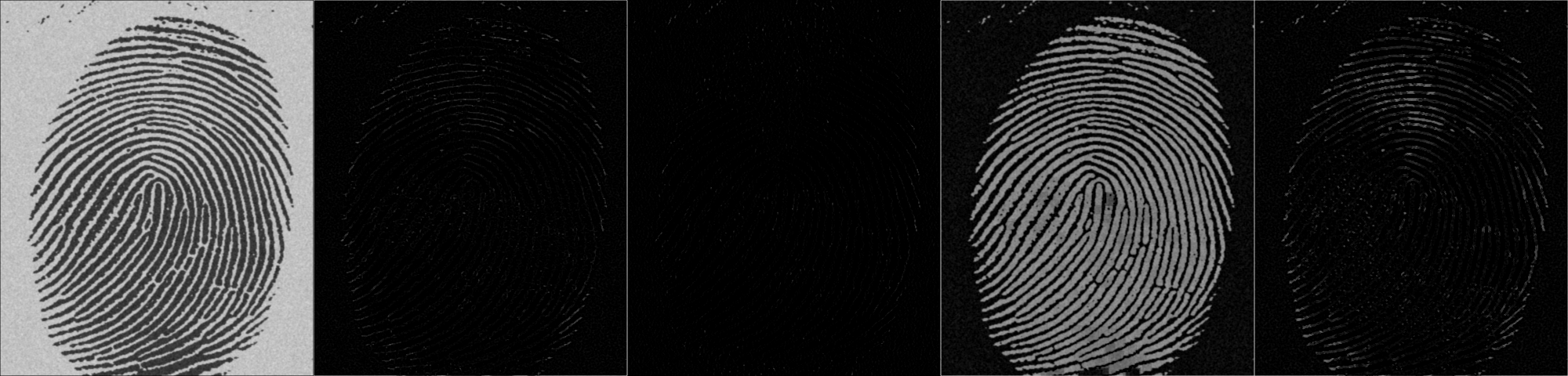 4173555032