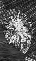 Fig0109(b)(cholesterol)