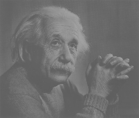 Fig0241(a)(einstein low contrast)