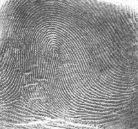 Fig0457(a)(thumb print)