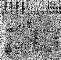 Fig0514(a)(ckt saltpep prob pt25)