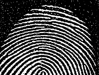 Fig0911(a)(noisy fingerprint)