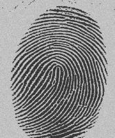 Fig1038(a)(noisy fingerprint)