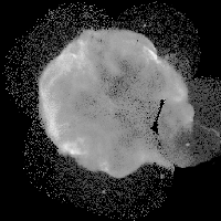 Fig1053(a)(cygnusloop Xray original)