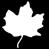 Fig1108(a)(mapleleaf)