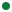 allocations list green icon