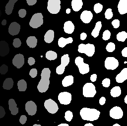 No description has been provided for this image