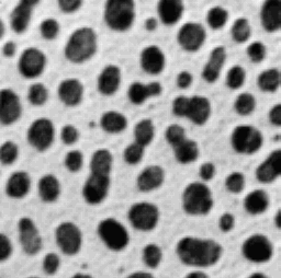 No description has been provided for this image