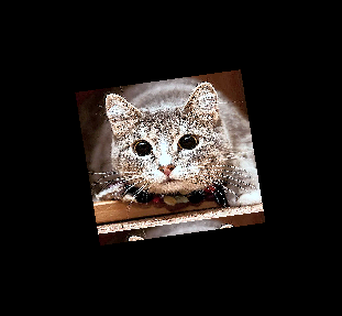 No description has been provided for this image