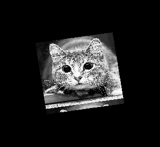 No description has been provided for this image