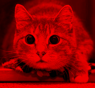 No description has been provided for this image