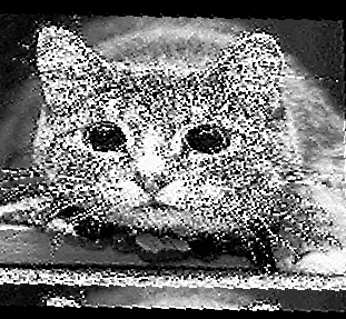 No description has been provided for this image