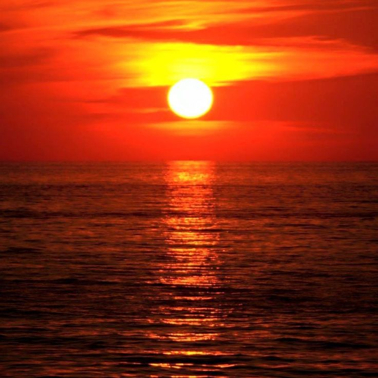 No description has been provided for this image