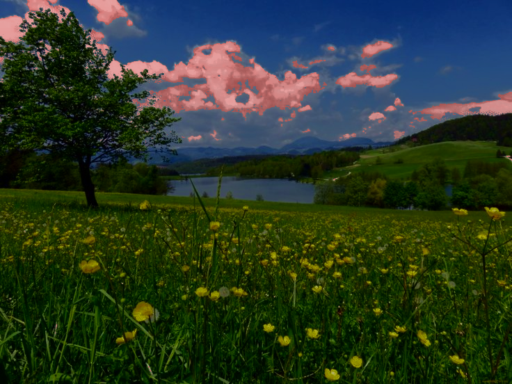 No description has been provided for this image