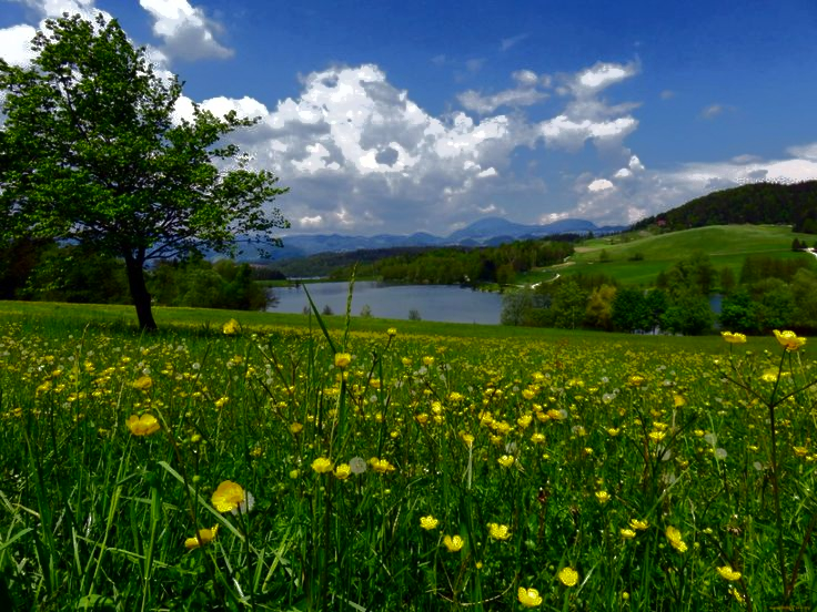 No description has been provided for this image