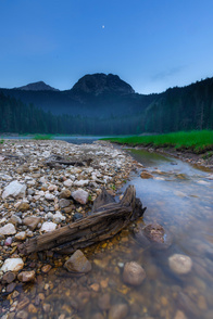 No description has been provided for this image