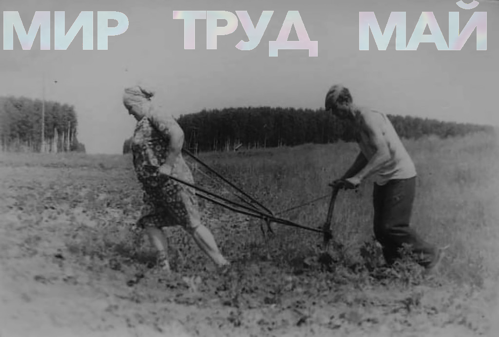 No description has been provided for this image