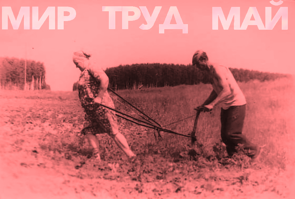 No description has been provided for this image