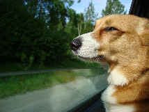 No description has been provided for this image