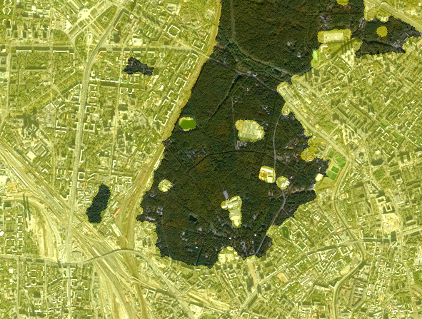 No description has been provided for this image