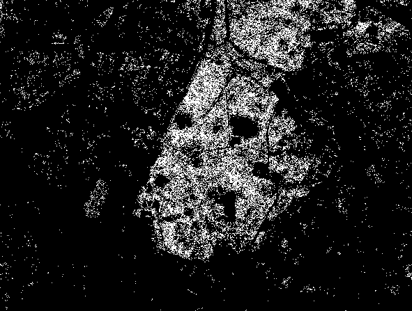 No description has been provided for this image