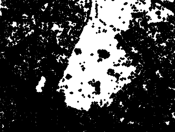 No description has been provided for this image