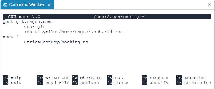 git nano 1 en