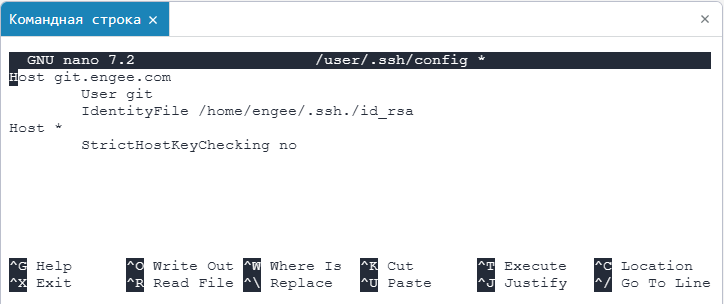 git nano 1 ru