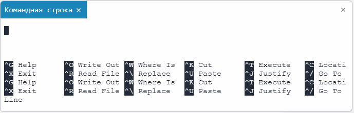git nano s ru